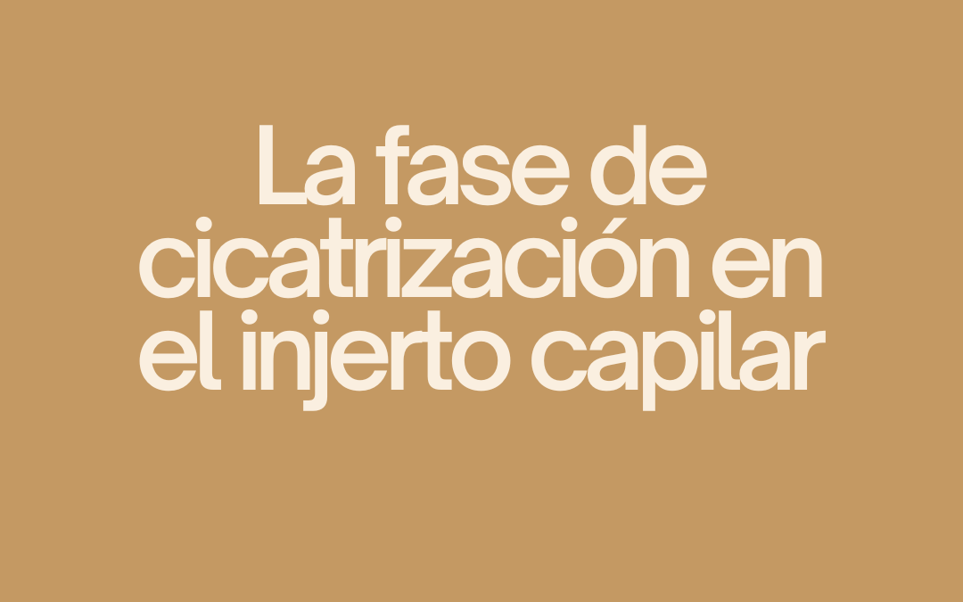 La fase de cicatrización en el injerto capilar